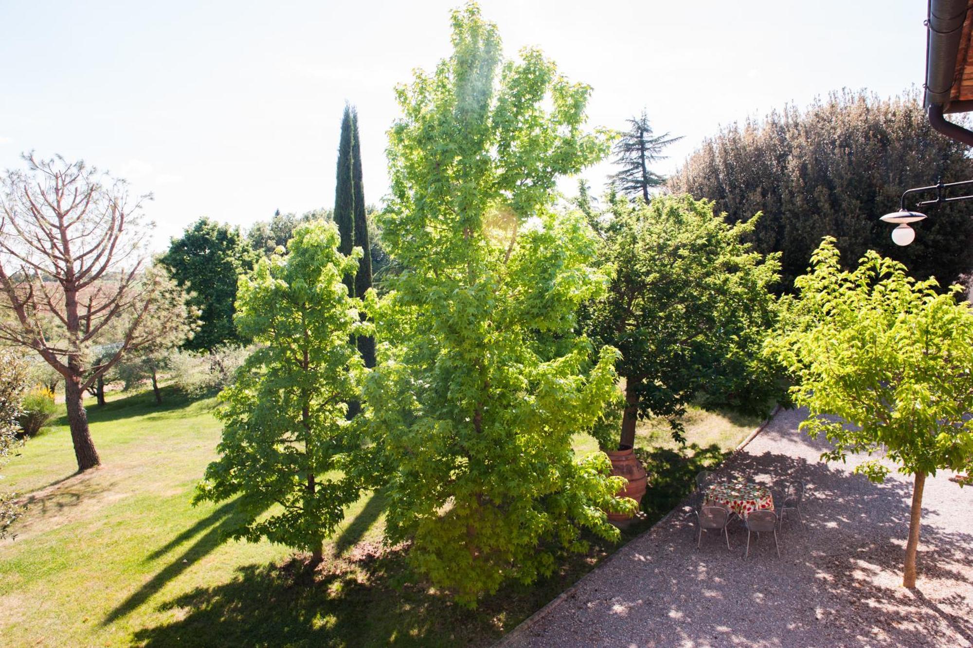 Agriturismo Villa La Morina Cortona Exterior photo